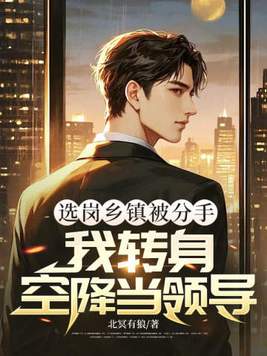 ѡ�����򱻷��֣���ת���ս����쵼